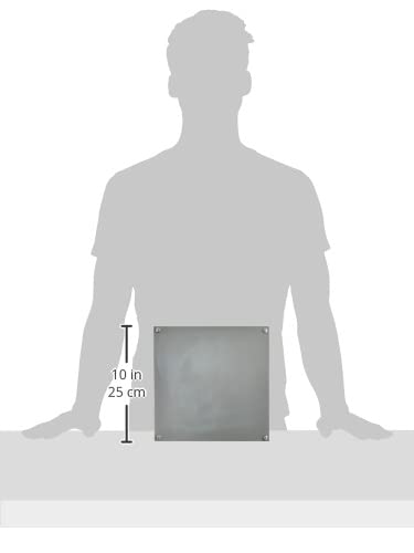 Amazon | 八州電工 プルボックス 平蓋 錆止め 250x250x100 IP2510SG